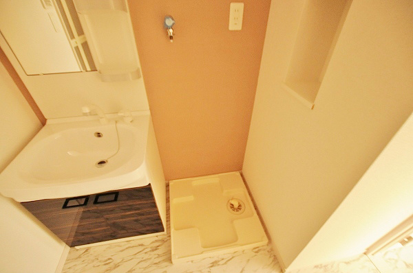 ステラZEN(ステラゼン) その他10