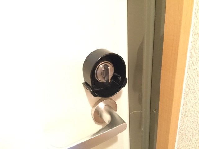 Ａｐｈｒｏｄｉｔｅ(アフロディーテ) その他5