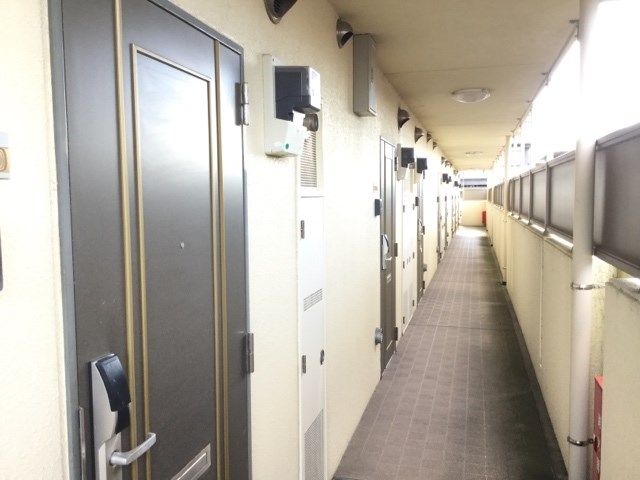 Ａｐｈｒｏｄｉｔｅ(アフロディーテ) その他外観2