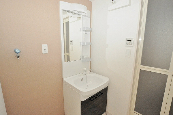 ステラZEN(ステラゼン) その他1