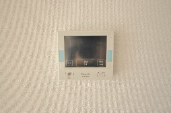 ステラZEN(ステラゼン) その他3