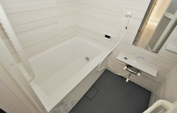 ステラZEN(ステラゼン) その他13