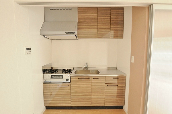 ステラZEN(ステラゼン) その他15