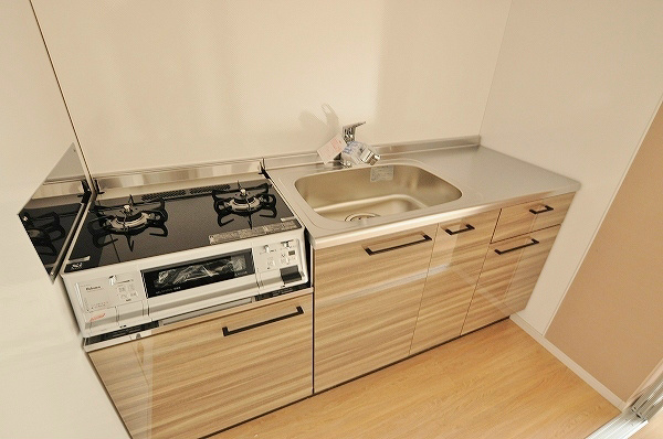 ステラZEN(ステラゼン) その他16