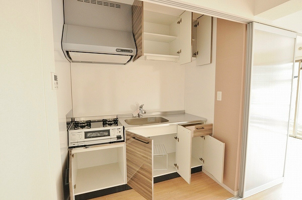 ステラZEN(ステラゼン) その他19