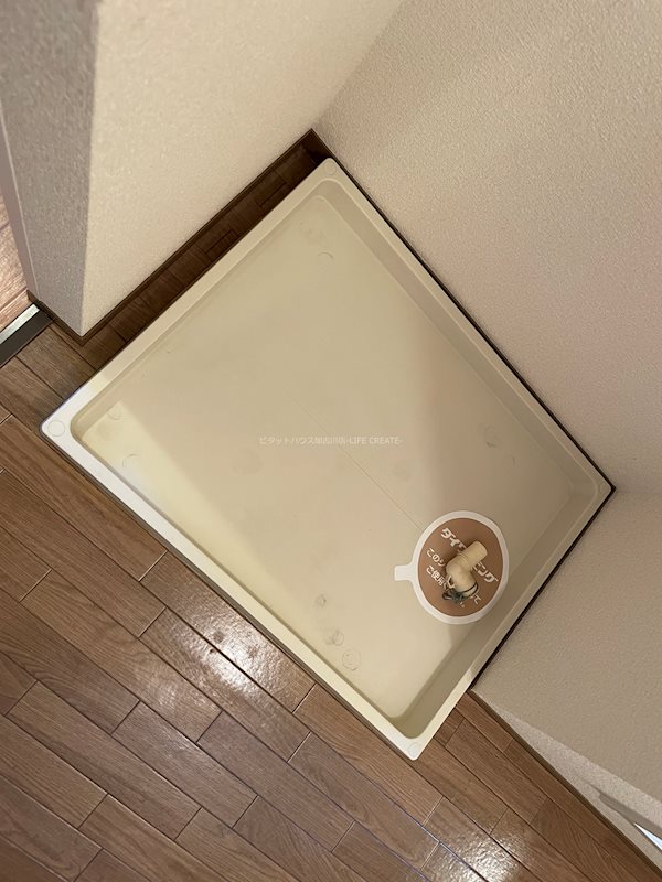 ドミールA その他8