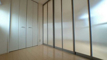 パウロニア その他14