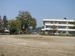 柿の木坂ホームズ 周辺画像6