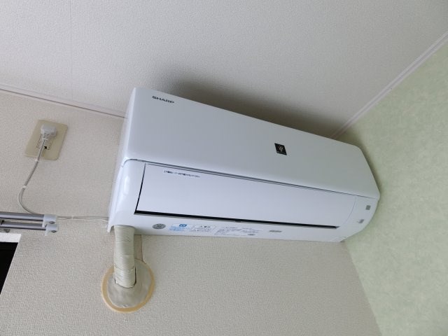 セルラヴィーヌ その他4