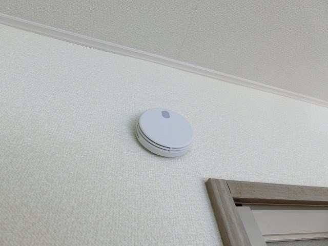 セルラヴィーヌ その他21