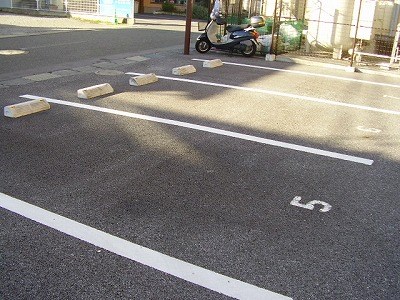 LOTUS MARSH元今泉 その他11