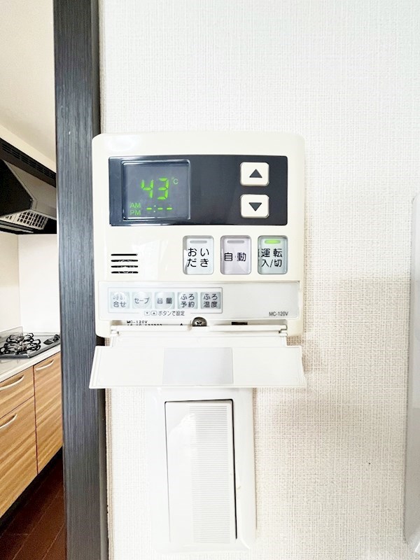 フェリシエ馬借 その他26