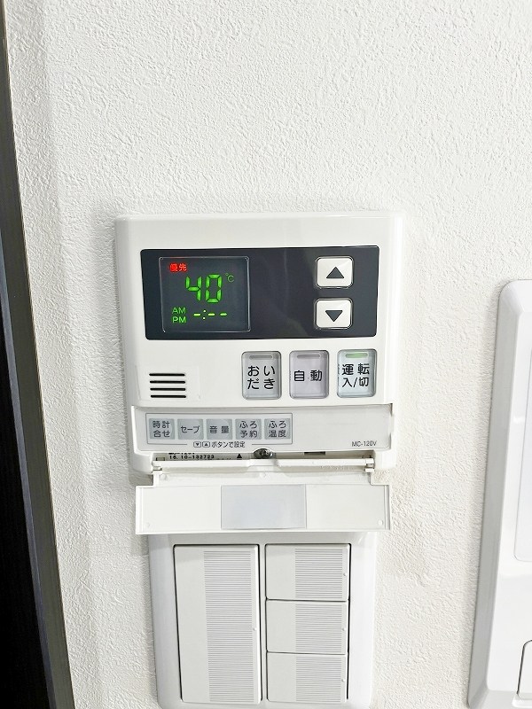 フェリシエ馬借 その他20