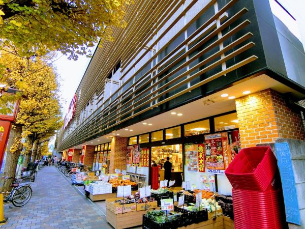 ミーナソルテ桜新町 周辺画像6