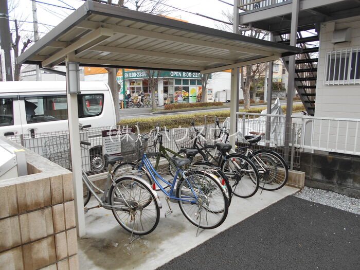 ゼルコバ その他5