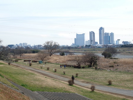 綴マンション 周辺画像4