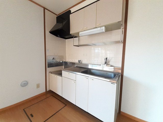 バイオレットI その他4