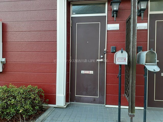 バイオレットI その他6