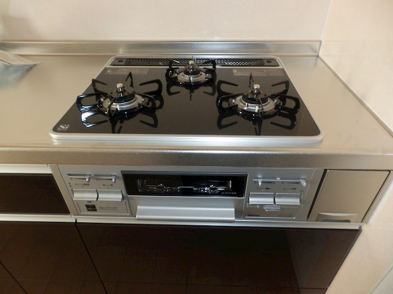 ファインヴィラ その他1