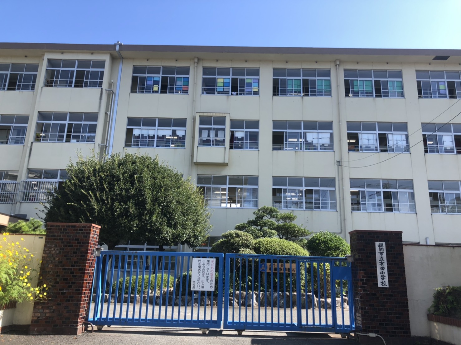 グローリアM 小学校