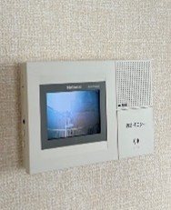 アピッシュ セキュリティ