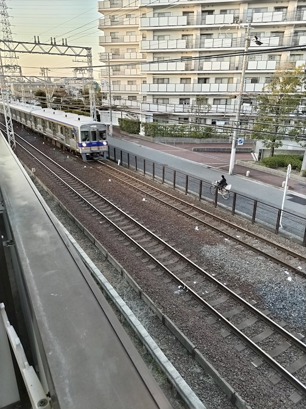 SEIBY朱鷺 （セイビートキ） その他20