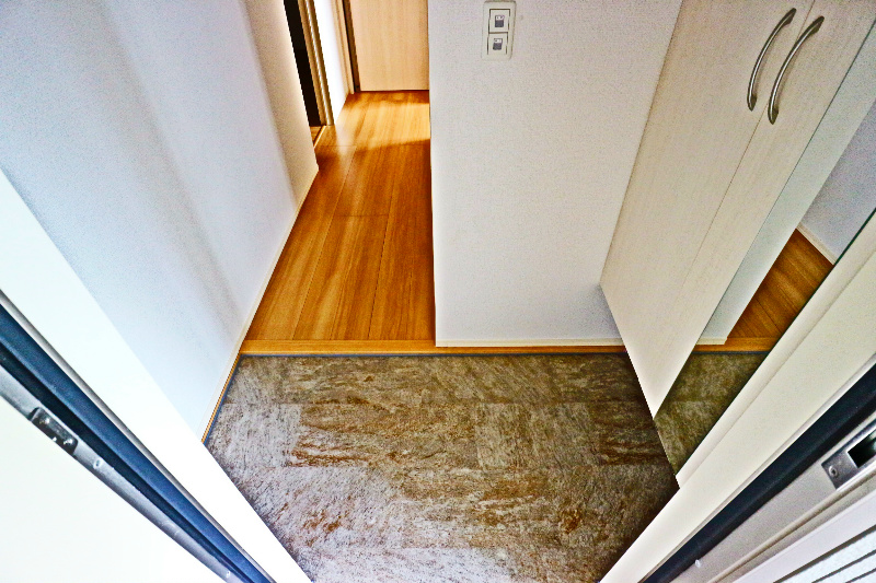 ロイジェントパークスレイクタウンⅢ　D 玄関