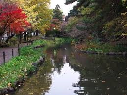 東京都世田谷区玉川田園調布１丁目 公園