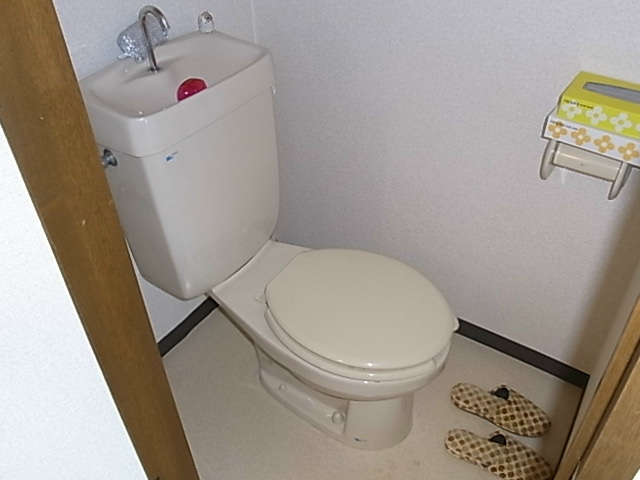 フルブルーム その他4
