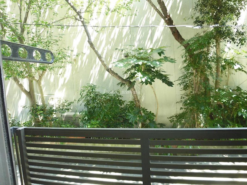 ウィステリア ベランダ