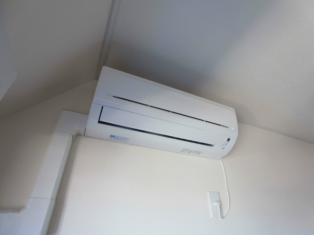 ラフィーヌ・ショコラ その他5