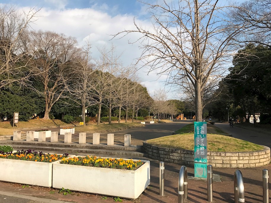 ココパーチェ新金岡 周辺画像9