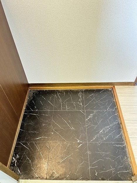 グランシェール藤本 玄関