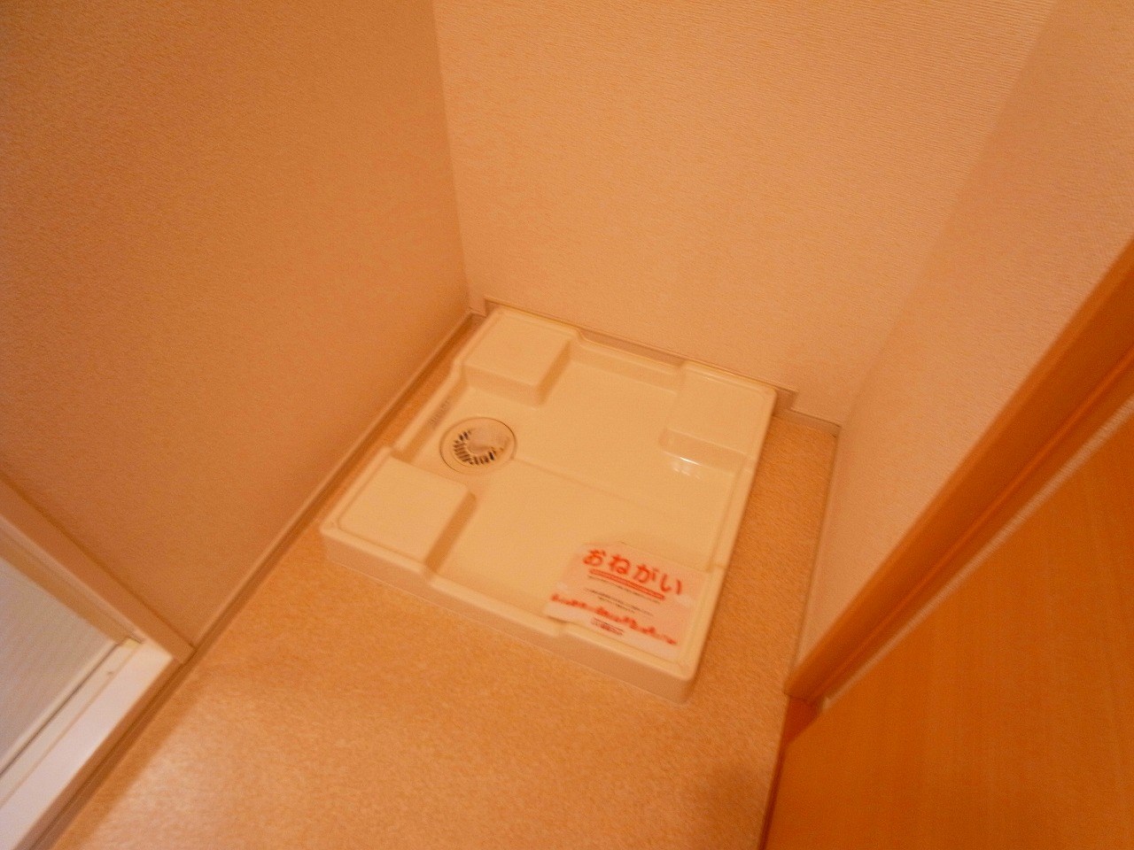 シエル  その他10