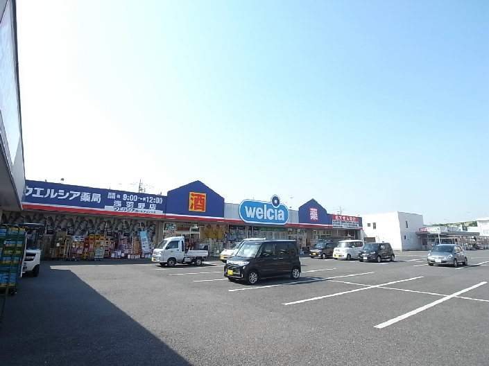 アクシスB ドラッグストア