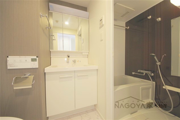 IARIM車道 その他2