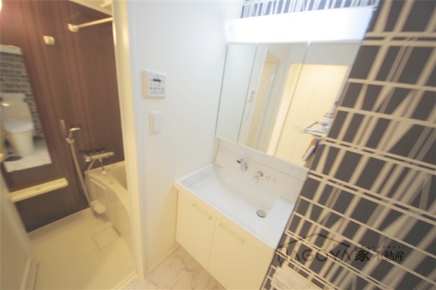 IARIM車道 その他4