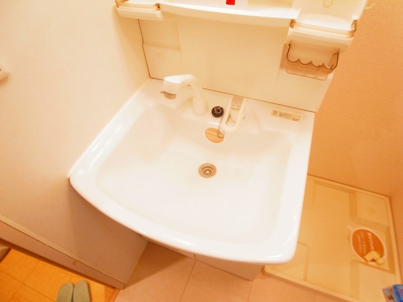 オアシス その他9