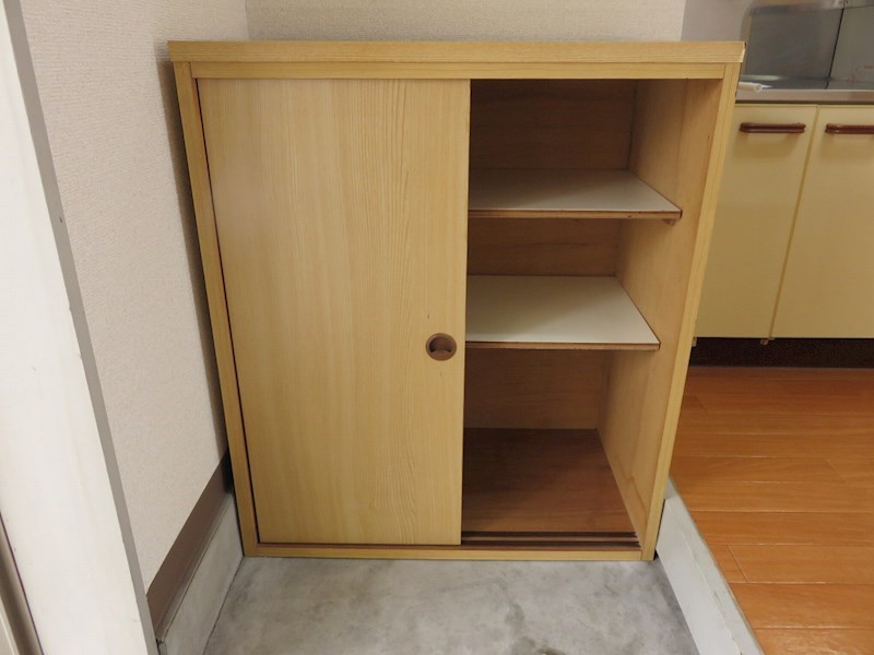 ドリームライフさつき 玄関