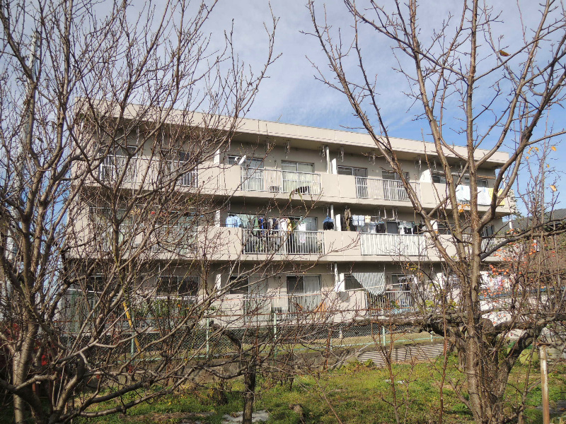 塚戸マンション その他18