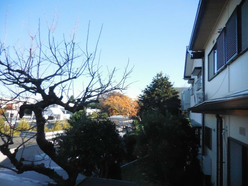 ヒルトップ西本 その他6