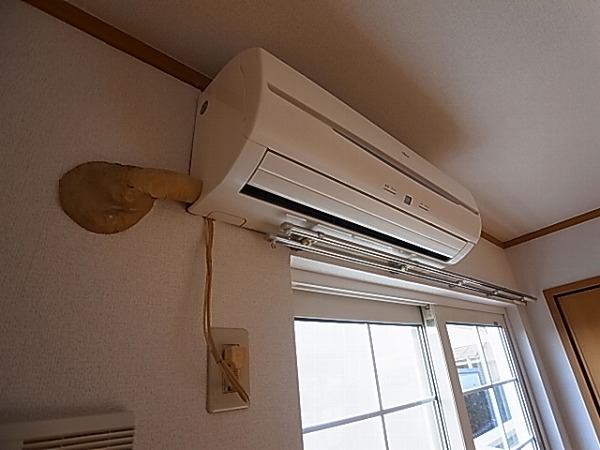 カーサ初石 その他5