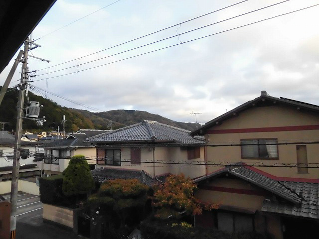 MAISON HOLLY-HOCK 眺望