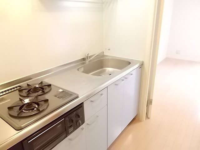 ラフィーネレゾンB棟 キッチン