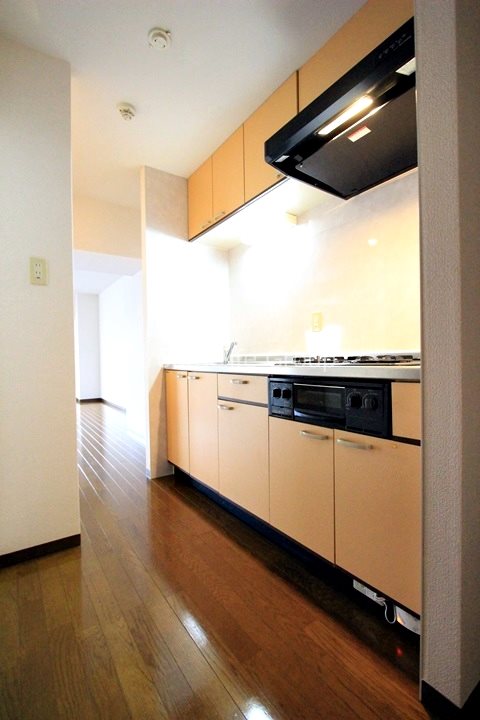 スクリップス その他14