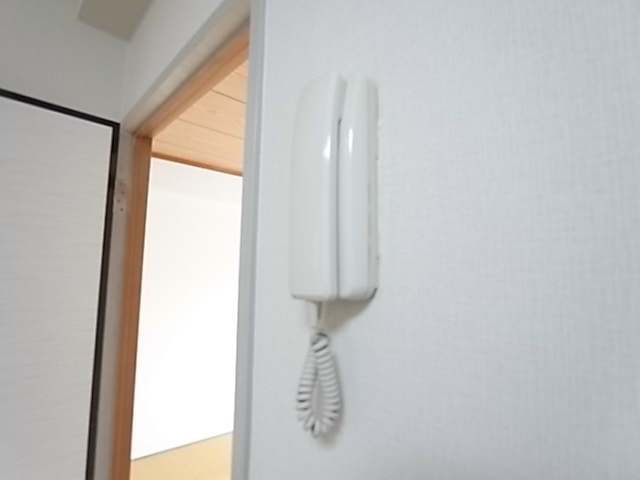 ラフィーヌ・ヤグチ その他6