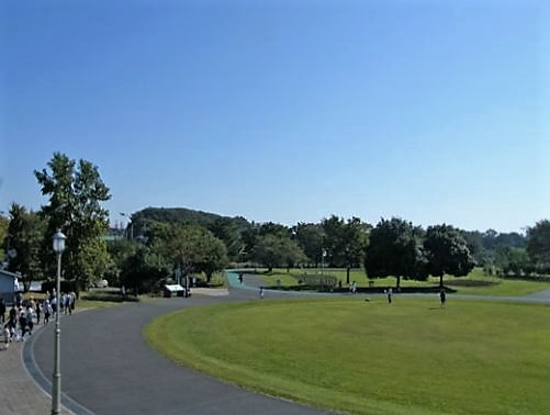 il Sole (イル ソーレ) 周辺画像6