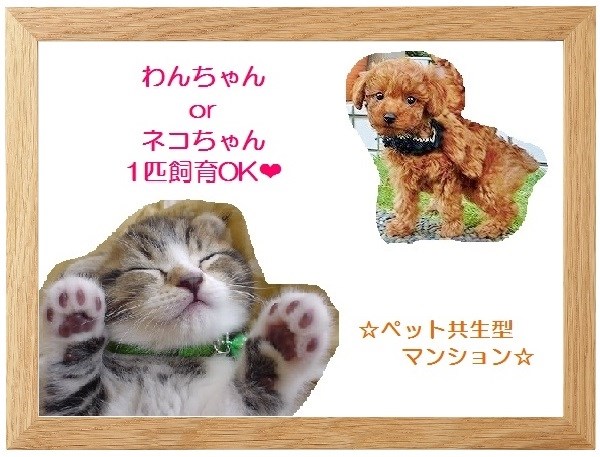 ウイングス重住 その他6