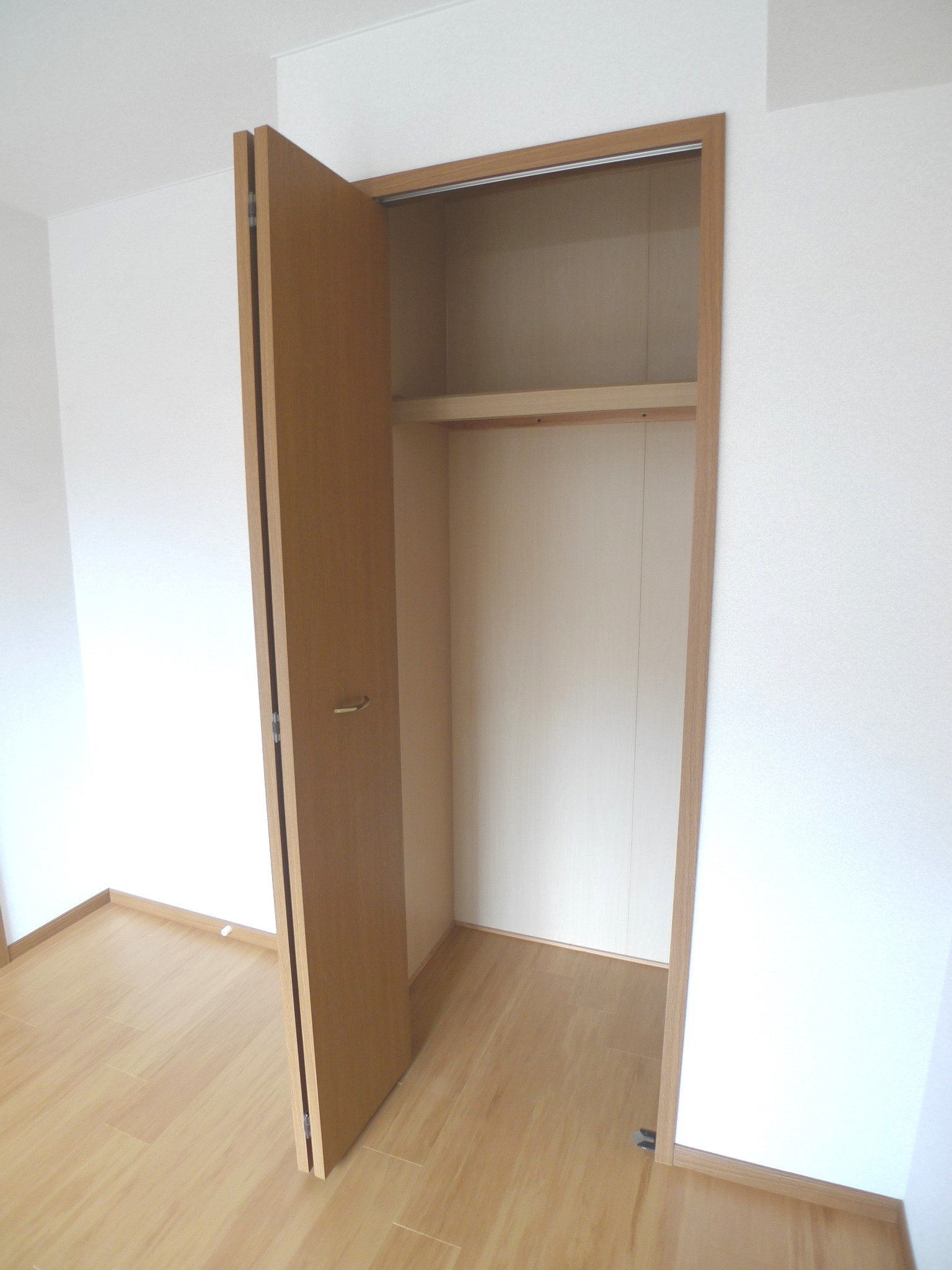 セントポーリア高砂 その他7