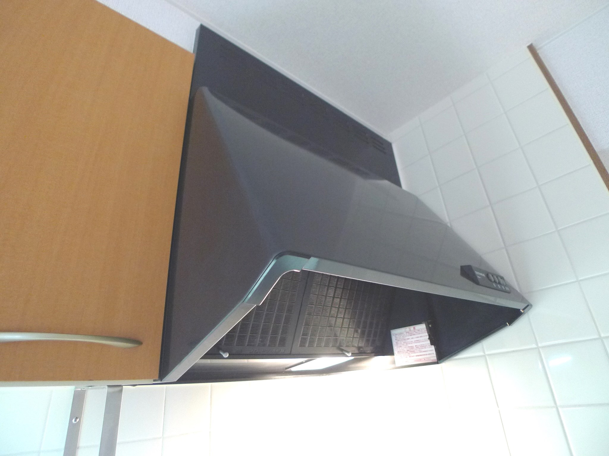 セントポーリア高砂 その他10